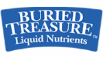 Buried Treasure