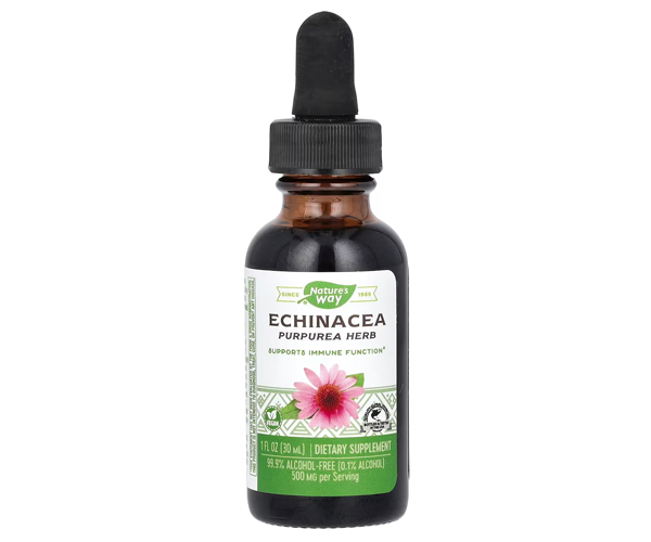 Эхинацея без спирта Nature's Way (Echinacea) 500 мг 30 мл