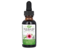 Эхинацея без спирта Nature's Way (Echinacea) 500 мг 30 мл