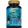 Поддержка при стрессе Nature's Way (Stress Defense Gummies) 60 жевательных конфет с малиновым вкусом