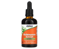 Экстракт эхинацеи NOW Foods (Echinacea Extract) 59 мл