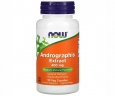 Андрографіс екстракт NOW Foods (Andrographis) 400 мг 90 капсул