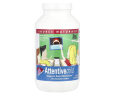 Внимательный ребенок Source Naturals (Attentive Child) 