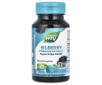 Стандартизована чорниця Nature's Way  (Bilberry Standardized) 
