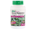 Форсколин Natures Plus (Coleus Forskohlii) 125 мг 60 капсул