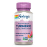Екстракт куркуми Solaray (Turmeric Root Extract) 300 мг 60 капсул