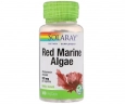 Червоні водорості Solaray (Red Marine Algae) 375 мг 100 капсул