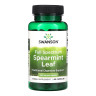 Листя м'яти кучерявої повного спектру Swanson (Full Spectrum Spearmint Leaf) 400 мг 60 капсул