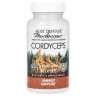 Энергетическая поддержка с кордицепсом Fungi Perfecti (Cordyceps Energy Support) 