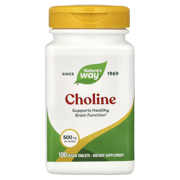 Холін Nature's Way (Choline) 500 мг 100 таблеток