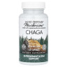 Чага Fungi Perfecti (Chaga) 500 мг