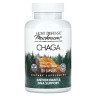 Чага Fungi Perfecti (Chaga) 500 мг