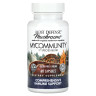 Поддержка иммунитета Fungi Perfecti (Immune Support) 