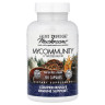 Поддержка иммунитета Fungi Perfecti (Immune Support) 