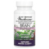 Формула для мозку Fungi Perfecti  (Brain) 60 капсул