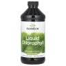 Рідкий хлорофіл Swanson (Liquid Chlorophyll) 100 мг 473 мл