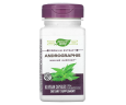 Андографис Nature's Way (Andrographis) 300 мг 60 капсул