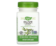 Листя оливи у капсулах Nature's Way (Olive Leaf) 500 мг 100 капсул