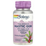 Экстракт мастиковой смолы Solaray (Mastic Gum Extract) 500 мг 45 капсул
