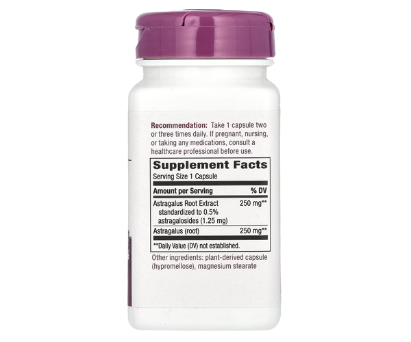 Астрагал стандартизированный Nature's Way (Astragalus Standardized) 500 мг 60 капсул