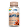 Комплекс грибів та трав Solaray (Mushroom Herb Complete) 90 капсул