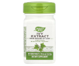 Экстракт плюща Nature's Way (Ivy extract) 50 мг 90 таблеток