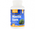 Смола мастикового дерева Jarrow Formulas (Mastic Gum) 500 мг 